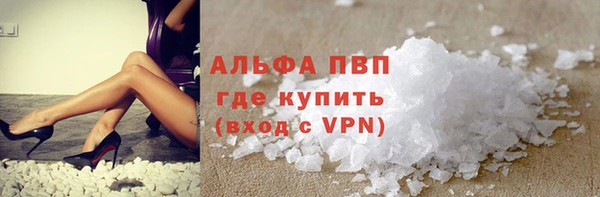 стаф Алексин