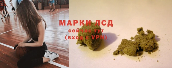 стаф Алексин